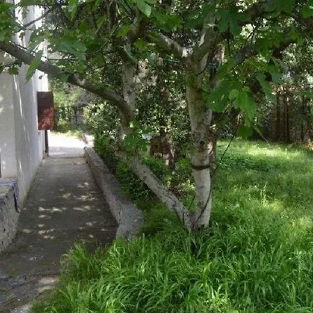 Apartment Maja