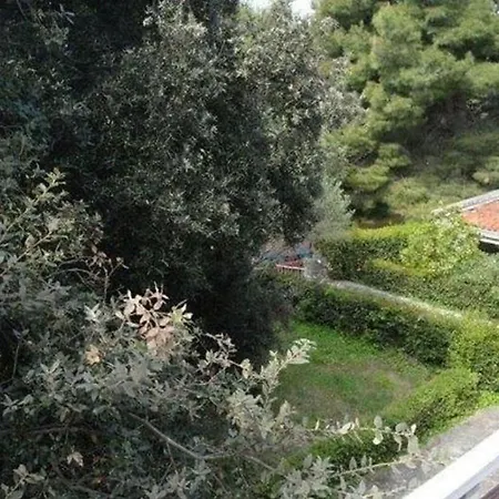 Maja Biograd Na Moru